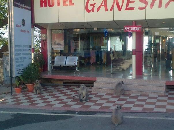 Hotel Ganesha Inn Tapovan Buitenkant foto